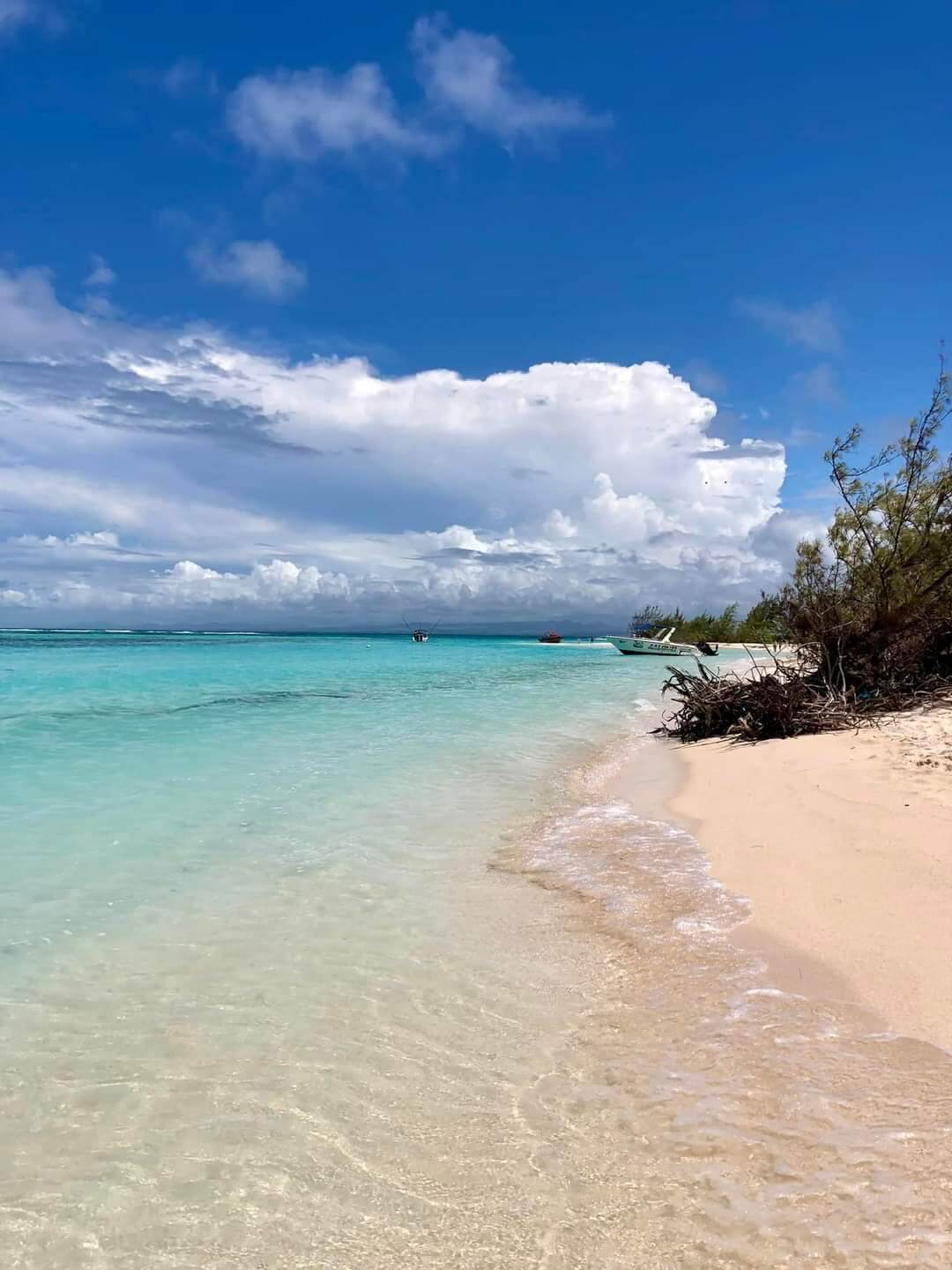 Vue aérienne sur un catamaran