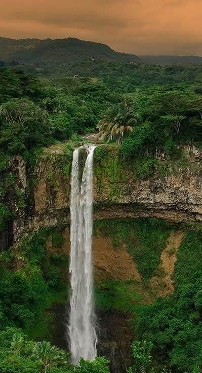 Déjeunez sur le catamaran