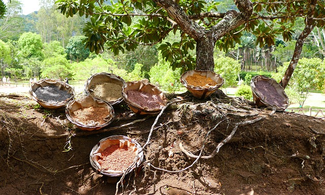 Informations pratiques