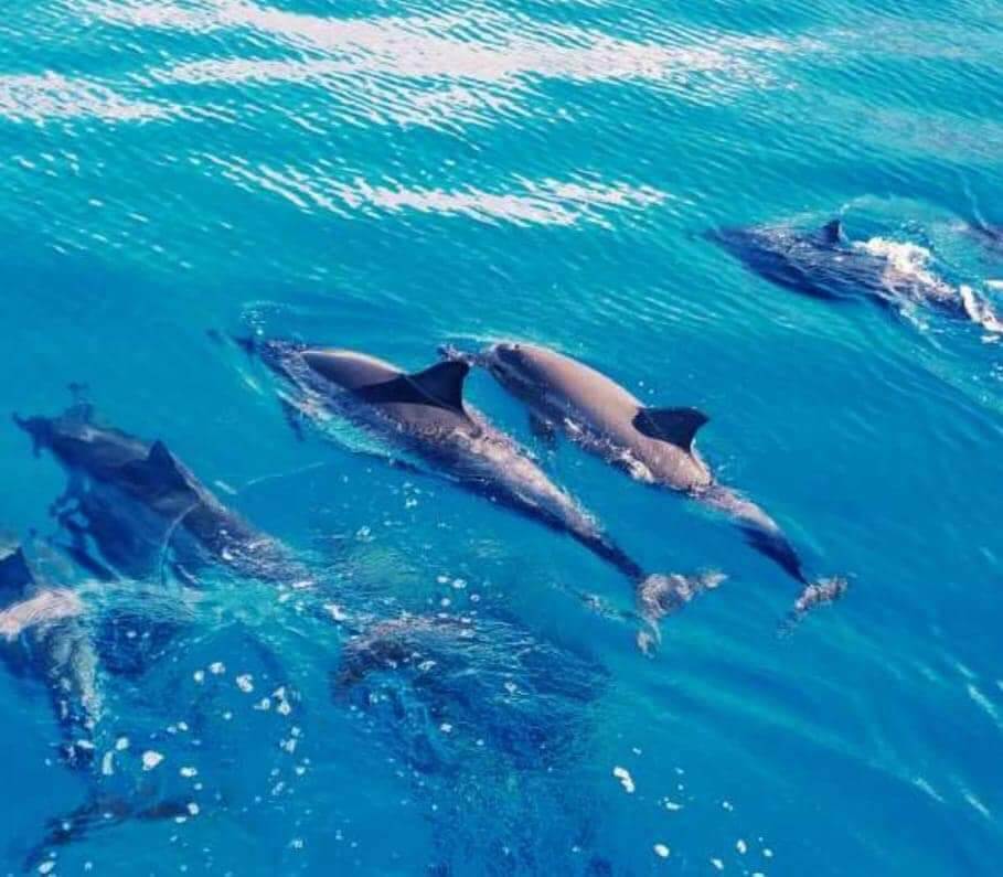 Informations pratiques