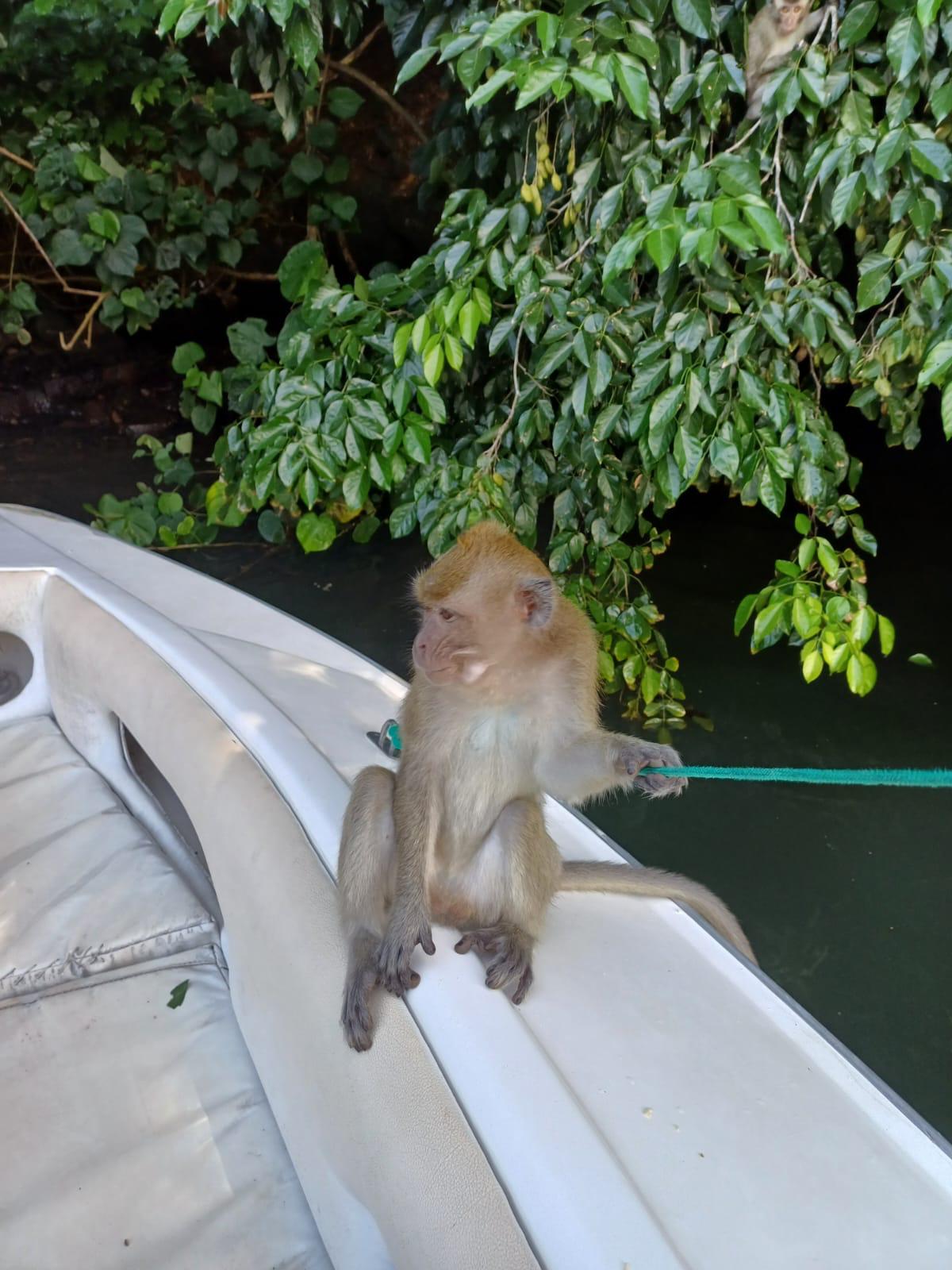 Photo 7 de l'excursion