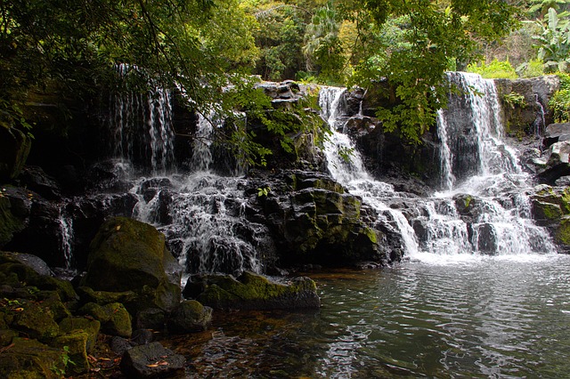 Photo 2 de l'excursion