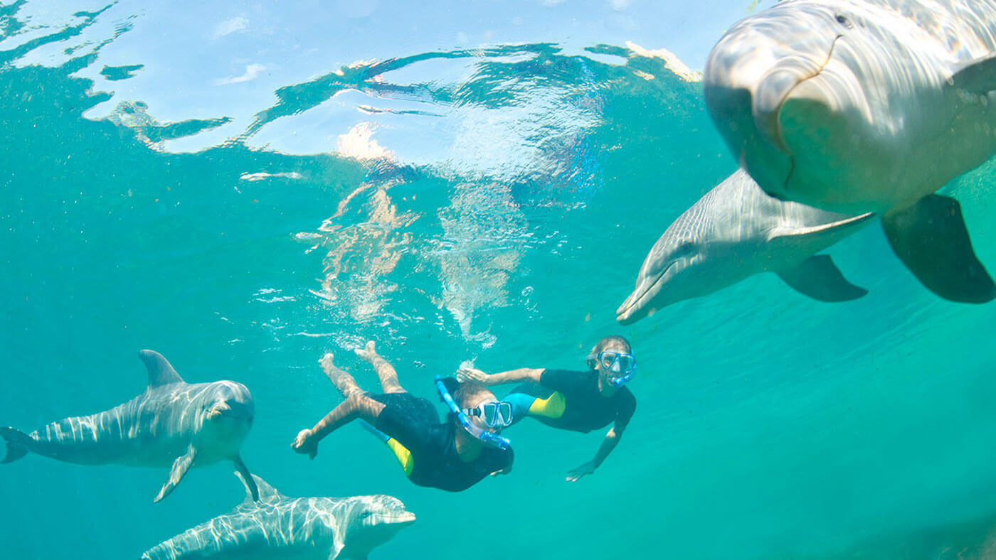 Informations pratiques